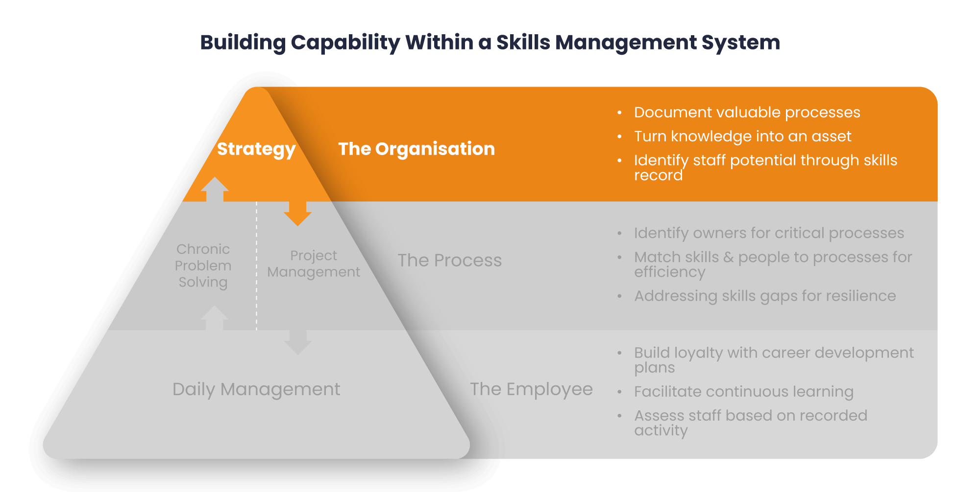 Building Capability within Skills Management