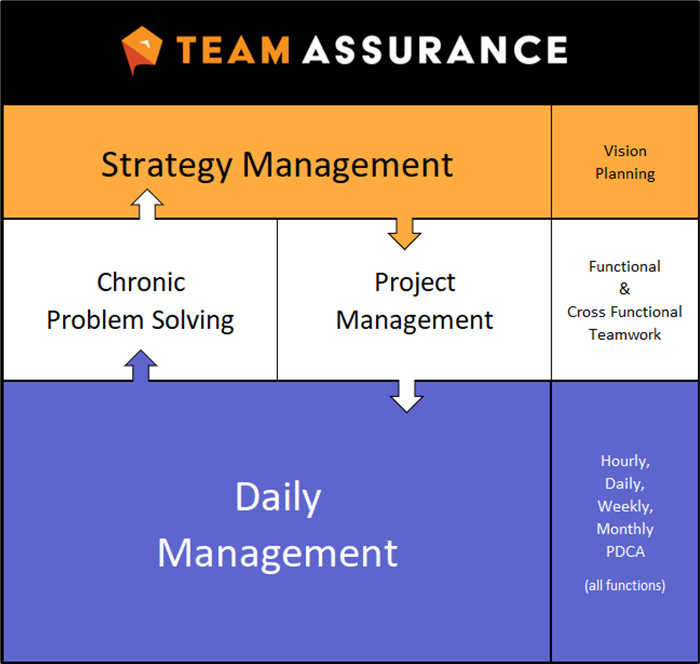 Strategy Project and Daily Management